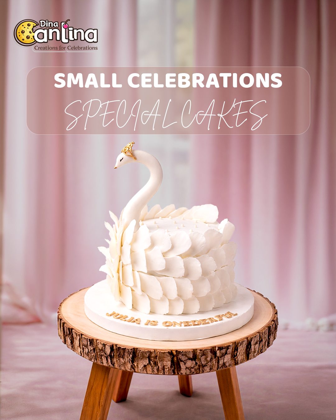 Dina Cantina — Small Celebrations, Special Cakes
